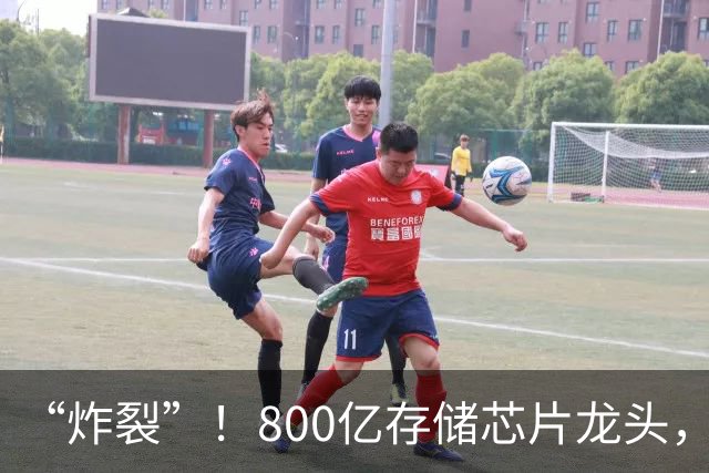 “炸裂”！800亿存储芯片龙头，第三季度净利润增长超2900%