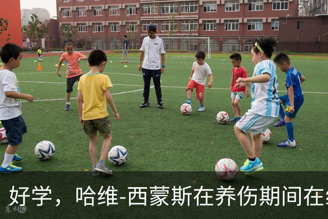 好学，哈维-西蒙斯在养伤期间在线学习哈佛商学院课程