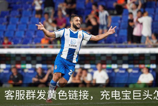 客服群发黄色链接，充电宝巨头怎么了？
