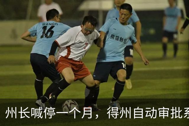 州长喊停一个月，得州自动审批系统还在盖章