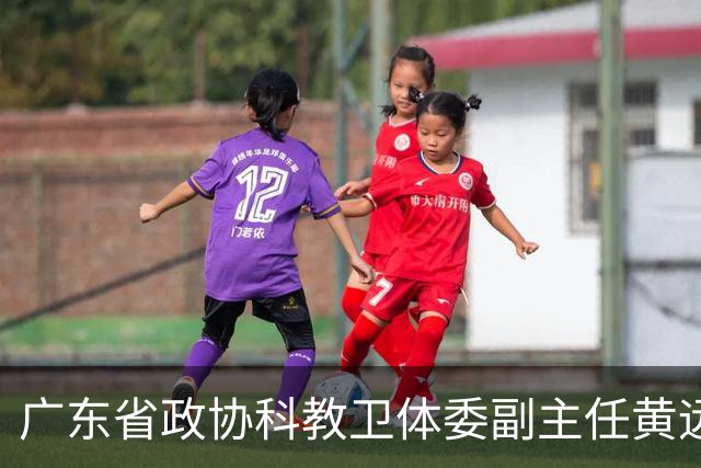 广东省政协科教卫体委副主任黄远通接受审查调查