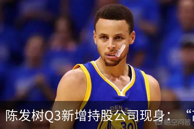 陈发树Q3新增持股公司现身：“高空安全设备龙头”中际联合，第三季度净利同比下滑超44%