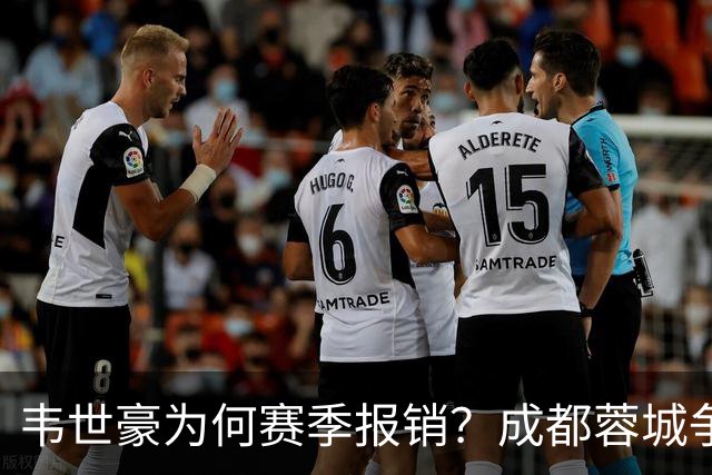 韦世豪为何赛季报销？成都蓉城争冠关键期，折损进攻核心！11月8日｜中超第30轮揭晓悬念