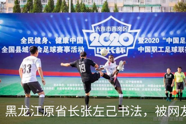 黑龙江原省长张左己书法，被网友们夸上了天，懂行的人却说：不止这水平